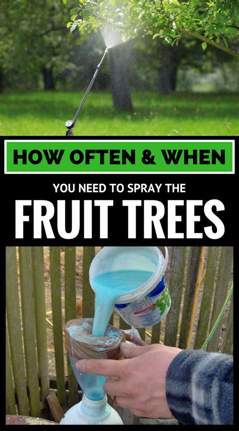 Maybe you would like to learn more about one of these? How Often & When You Need To Spray The Fruit Trees ...