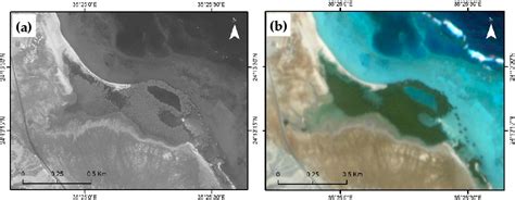 Figure 1 From Mapping Mangroves Extents On The Red Sea Coastline In Egypt Using Polarimetric Sar