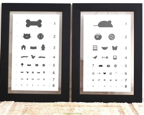 Eye Chart For Cats Eye Chart Cats Animal Society