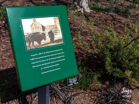 Smithsonian National Zoo 9 Facts Defining Its Legacy