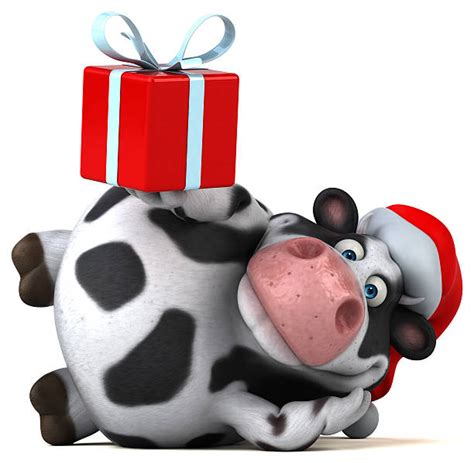 Best Christmas Cow Stock Photos Pictures And Royalty Free Images Istock