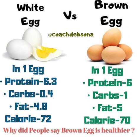 White Eggs Vs Brown Eggs Rwar2fit
