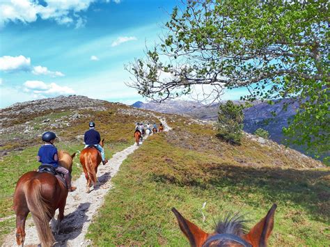 Passeio De Cavalo Perto De Mim