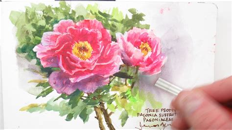 Painting Peonies With Watercolor At NYBG YouTube