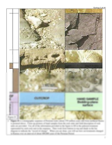 Solution Geology 104 Lab 4 Sedimentary Rocks Studypool