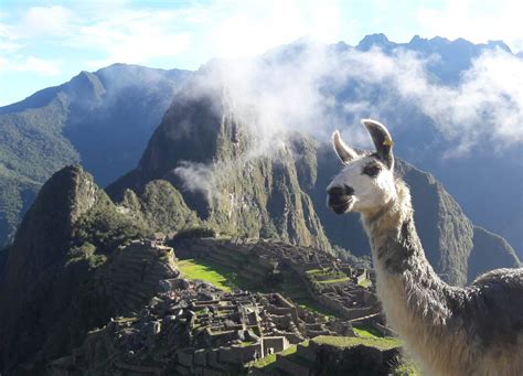 Tour Machu Picchu Rainbow Mountain 5 Days Cusco Machu Picchu