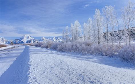 Mountain Trees Snow Field Road Wallpapers Mountain Trees