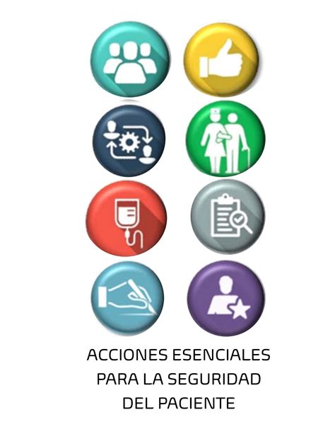 Resumen De Curso Acciones Esenciales Para La Seguridad Del Paciente