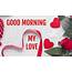 Good Morning My Love Gif For Android  APK Download