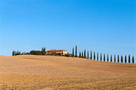 Villa In Tuscany With Cypress Road Or Alley In Autumn Valley Of Val D
