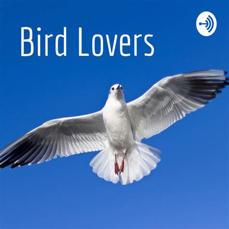 Bird Lovers Podcast On Spotify