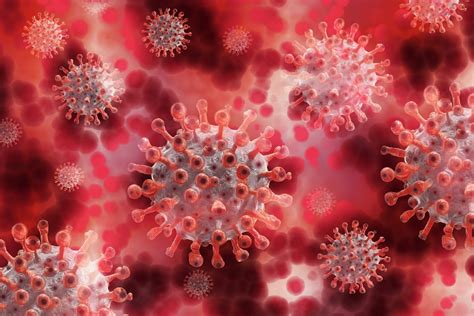 På vaccindirekt har du alltid möjlighet att fråga en. Information från region Stockholm om vaccination - RBU ...