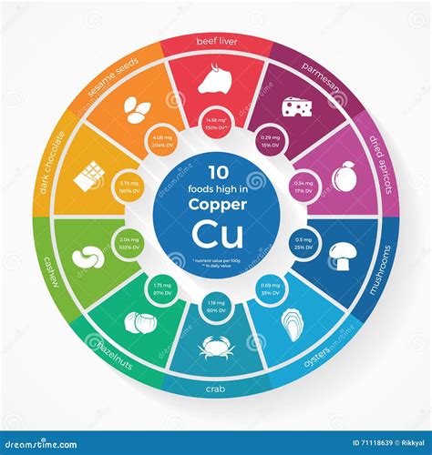10 Nahrungsmittel Hoch Im Kupfer Nahrung Infographics Vektor Abbildung