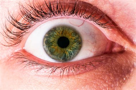 Close Up Of Human Eye Stock Photo Download Image Now Istock