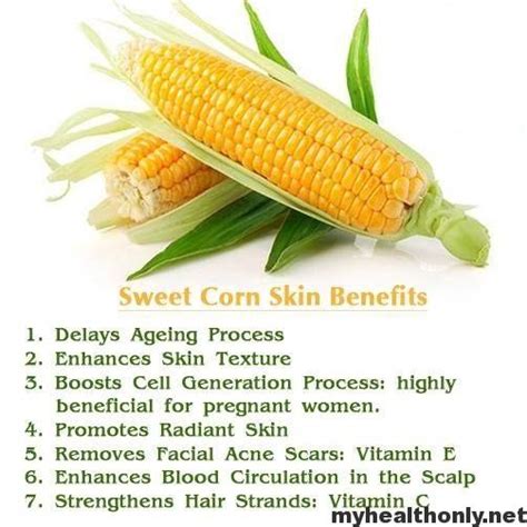 Know About The Impressive Benefits Of Corn My Health Only