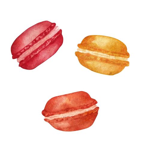 Premium Vector Macaroon Watercolor Element On A White Background