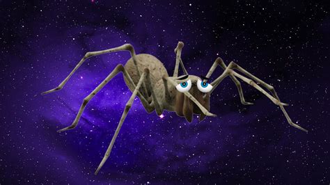 Spiders In Space Are So Unhappy They Cant Even Build Decent Webs