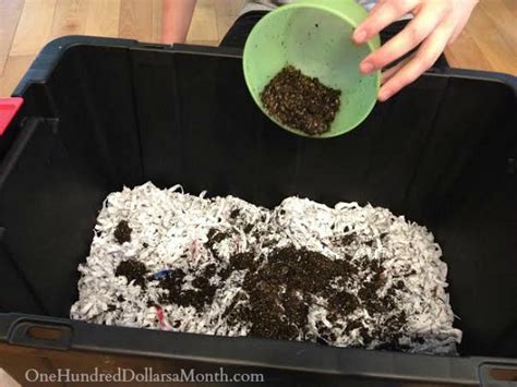 Constructing a worm compost bin. Easy Worm Compost Bin Tutorial - One Hundred Dollars a Month