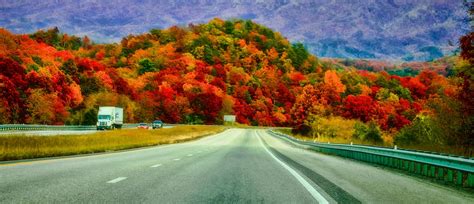 Autumn Road Trip Photograph By Ola Allen