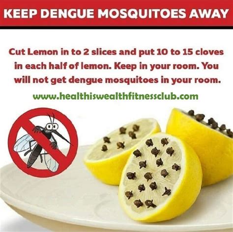 How To Keep Mosquitoes Away From Joel Hart