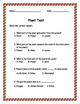 14 best 2nd Grade Science images on Pinterest | Science ...