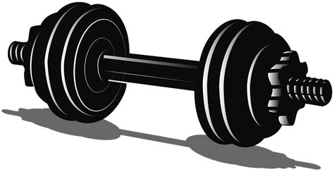Dumbbell Clipart Body Building Dumbbell Body Building Transparent Free