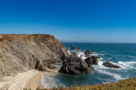 Bodega Head Bodega Bay All You Need To Know Before You Go