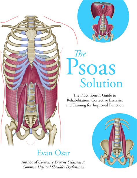 The Psoas Solution The Practitioners Guide To Rehabilitation