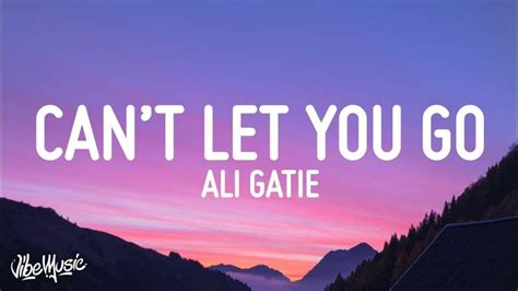 ali gatie can t let you go lyrics