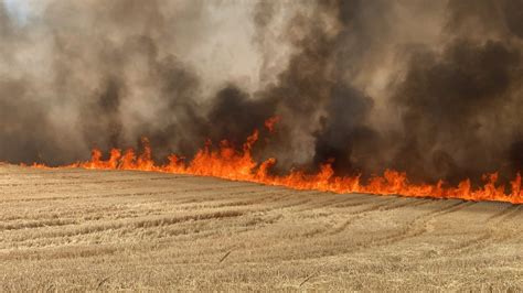 Combine Fire Causes Wheat Field To Burn On Foothill Road Moscow Report