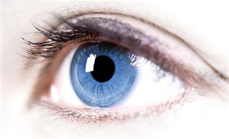 Science Of Vision How Do Our Eyes Enable Us To See How It Works