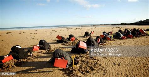 Bury Head In Sand Photos And Premium High Res Pictures Getty Images