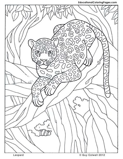 Coloring Pages Tropical Coloring Home