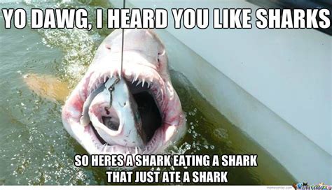 12 Funny Shark Memes To Celebrate Shark Week