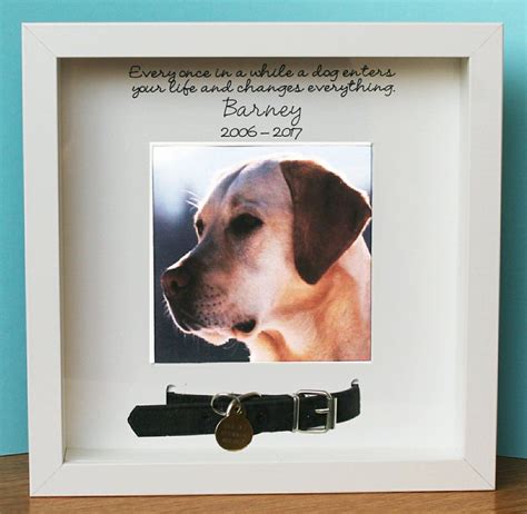 Memorial Photo Frame Personalised T In White For Pet Dog Cat Collar