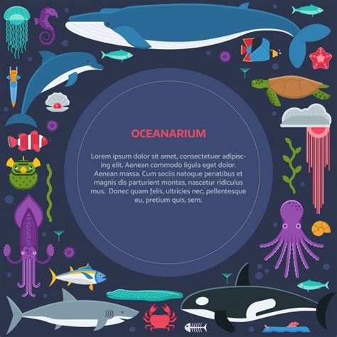 Oceanarium Ocean Animals And Fishes With Names — Stock Vector