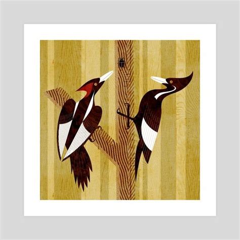 ivory billed woodpeckers an art print by scott partridge woodpecker art bird art woodpecker