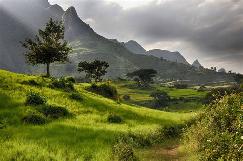 Ethiopia's Simien Mountains Has A Mesmerizing Landscape Full Of Exotic Plants and Wildlife ...