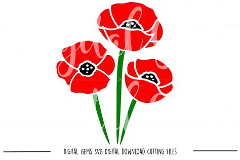Poppy Flowers SVG / PNG Files (23438) | SVGs | Design Bundles
