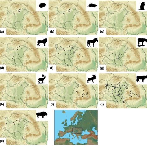 Spatial Distribution Of Known Occurrences Of Extinct Holocene Mammal