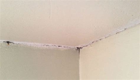 What Causes Cracks In Ceilings And How To Fix Them Answered