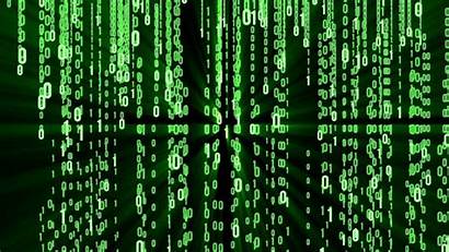 Matrix Hacker Binary Code Background Coding 4k