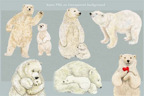Polar Bear Clipart Illustrations By Clipart Shop Thehungryjpeg