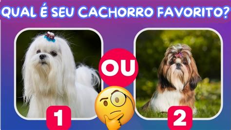 Quiz De Qual Cachorro Eu Seria