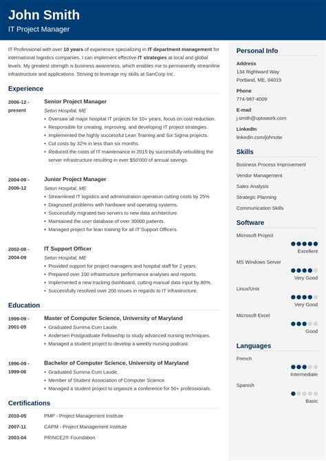 Name of position, focusing on (this section is optional. 18+ Professional CV Templates: Fill in the Blanks & Land a ...