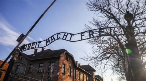 Liberación De Auschwitz Cómo Este Campo De Concentración Se Convirtió En El Centro Del