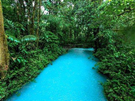 Hiking Rio Celeste Costa Rica Im Jess Traveling