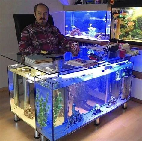 This Office Desk Made Out Of Fish Tanks Amazing Aquariums Fish Tank
