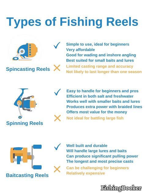 Types Of Fishing Reels The Complete Guide Pro Tackle World