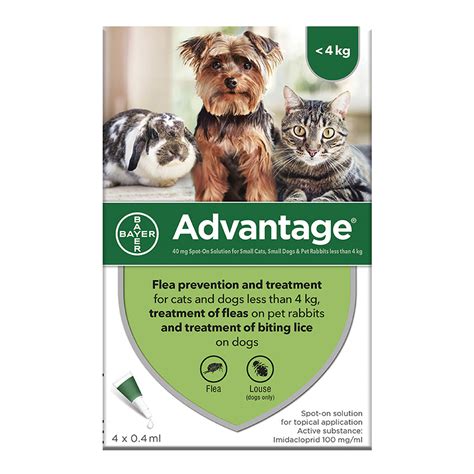Advantage 40 Spot On Flea Treatment For Small Cats Dogs And Rabbits Up
